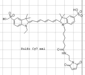 Sulfo-Cyanine7 maleimide  水溶性花菁染料CY7标记马来酰亚胺