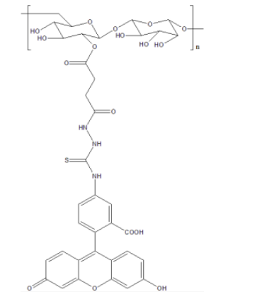 CY7-Dextran MW:10K  花菁染料标记葡聚糖