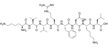 荧光标记卵清蛋白 FITC-OVA异硫氰酸荧光素标记卵清蛋白