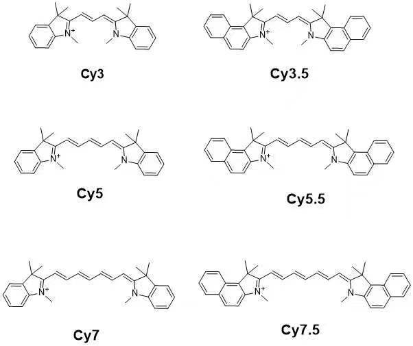 CY3单体  Cyanine3 三甲川花菁染料