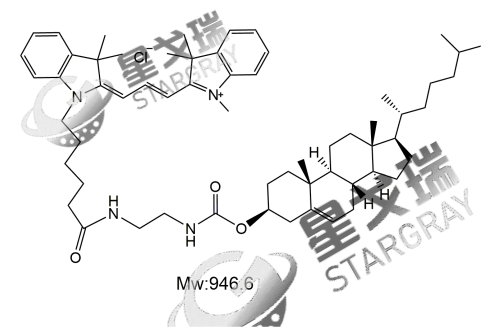 CY3-Cholesterol,CY3-胆固醇