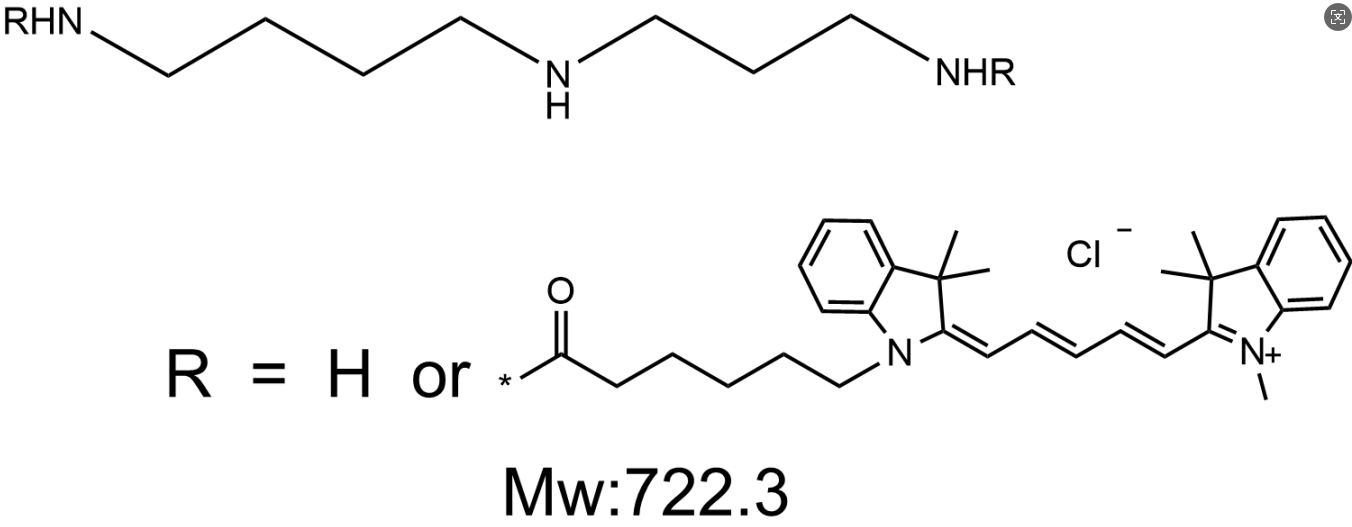 Cy5-Spermidine，CY5-亚精胺