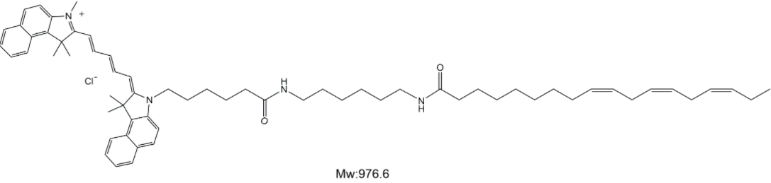 CY5.5-亚麻酸 CY5.5-Linolenic Acid