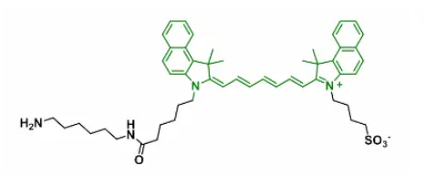 星戈瑞-靛氰绿ICG：CAS1686147-55-6吲哚菁绿胺 ICG amine应用造影