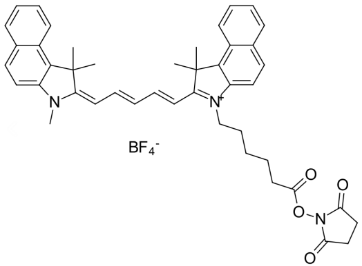 Cy5.5-N-羟基琥珀酰亚胺酯Cyanine5.5 NHS ester简述