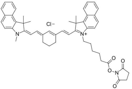 [星戈瑞新品]Cy7.5 NHS Ester（Cyanine 7.5 N-羟基琥珀酰亚胺酯）易水解荧光染料