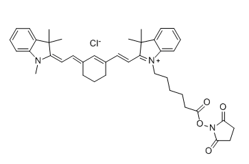 Cyanine7-NHS激发/发射波长、吸收光谱和量子产率Cy7-SE