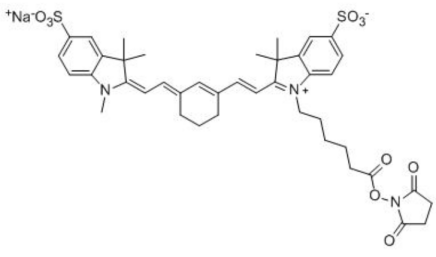 Cyanine7的应用领域Sulfo-CY7 NHS ester