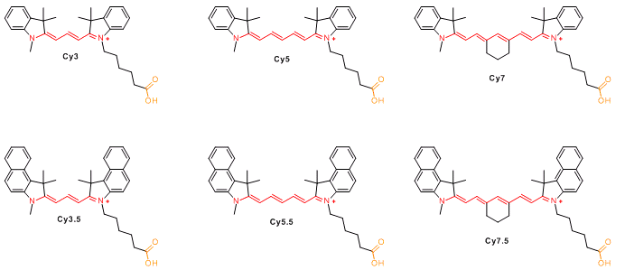 Cy系列荧光染料