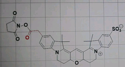 Cy（花菁染料）系列染料的升级版CY3-B/CY5-B