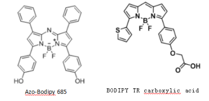 Bodipy