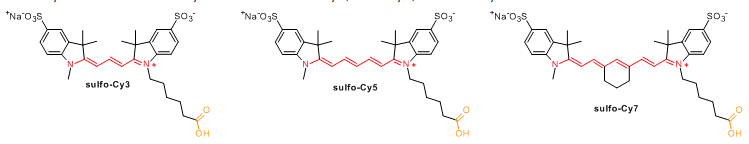 脂溶性Cy染料和水溶性Cy染料的适用条件