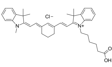 星戈瑞Cyanine3 amine/Sulfo-Cy7-COOH花菁染料的荧光探针结构组成