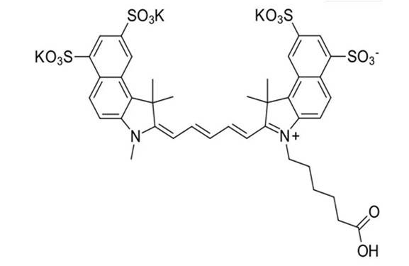 水溶性花菁染料CY5.5标记羧基