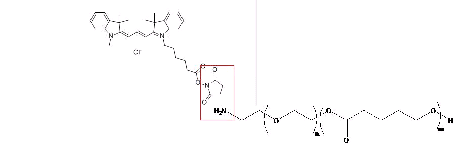 PCL-PEG-CY3