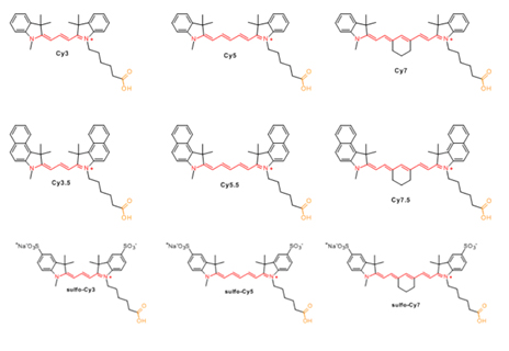 花菁染料类：CY染料修饰基团/蛋白/抗体/生物分子等