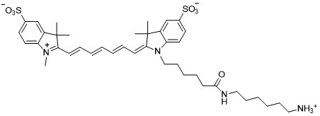 Sulfo-CY7 amine在活体细胞成像实验中的应用和成像