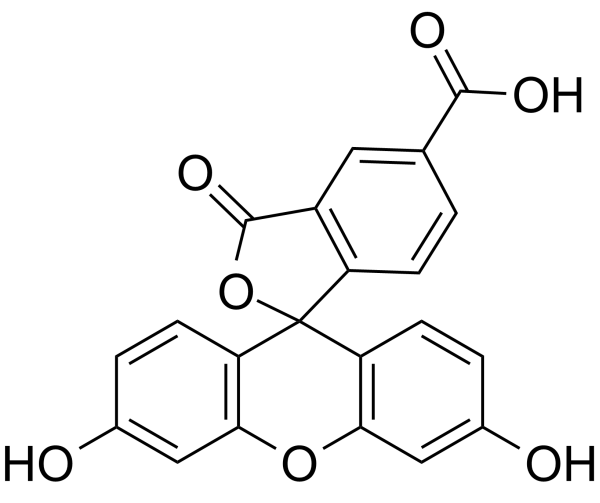 荧光素染料：5-FAM 5-羧基荧光素 76823-03-5