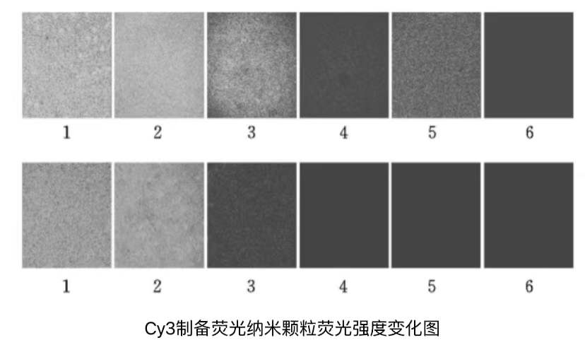 星戈瑞荧光简述-多肽修饰CY3荧光染料的制备