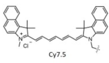 CY7.5