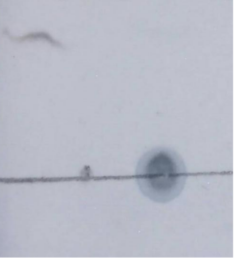 ICG吲哚菁绿标记多肽ICG-c(RGDyk)合成介绍