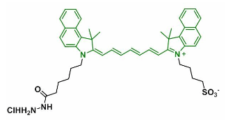 吲哚菁绿标记酰肼