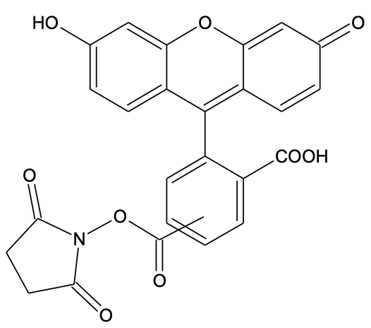 5(6)-FAM, SE