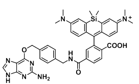 硅基罗丹明-苄基鸟嘌呤