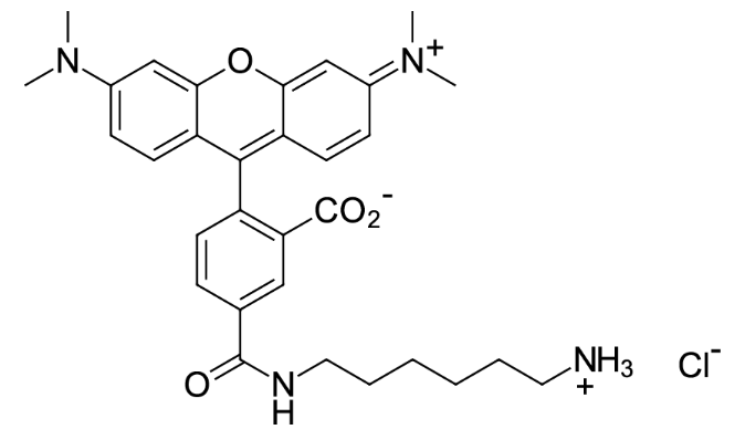 5-羧基四甲基罗丹明胺基