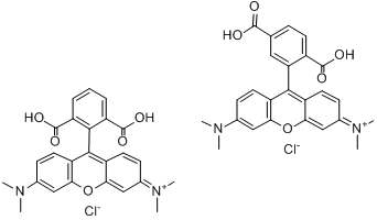 橘红色荧光：6/5/5(6)-TAMRA羧基四甲基罗丹明 