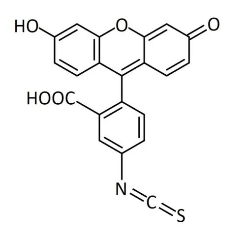 荧光素衍生物家族之FITC（异硫氰酸荧光素）