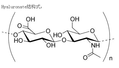 透明质酸1.png