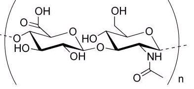 ICG-Hyaluronate