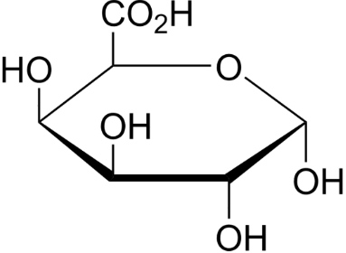 荧光标记半乳糖醛酸 Galacturonan