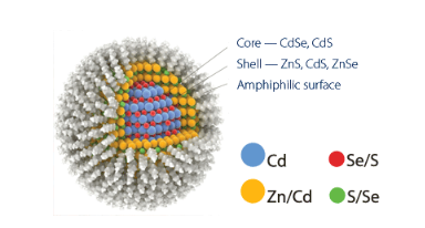 NH2-BPEI-CQDs