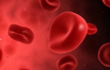 荧光标记纤维蛋白