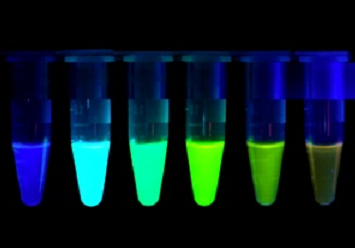 荧光标记仿生铁蛋白