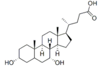 荧光标记鹅去氧胆酸 CDCA