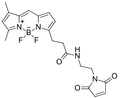 BDP FL maleimide.png