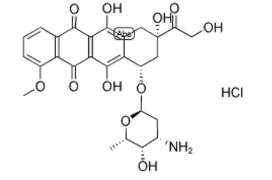 FITC-Protein A