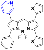 BODIPY-600/633