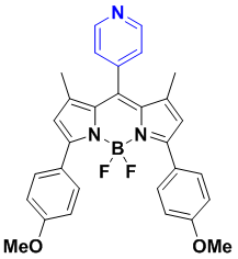 氟化硼荧光染料BODIPY-560/613、BODIPY-650/660、BODIPY-604/645