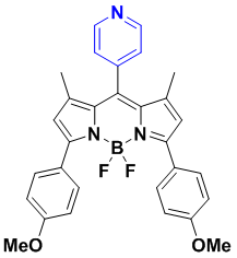 BODIPY-560-613