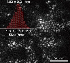 荧光标记氨基化介孔二氧化硅纳米粒