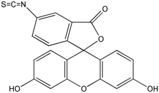 异硫氰酸荧光素