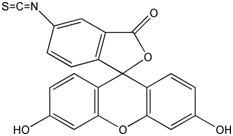 用于标记抗体/蛋白的FITC异硫氰酸荧光素