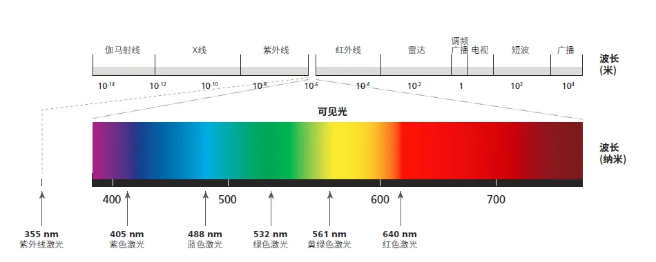 荧光染料.png