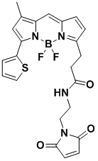 BDP 560/570 maleimide