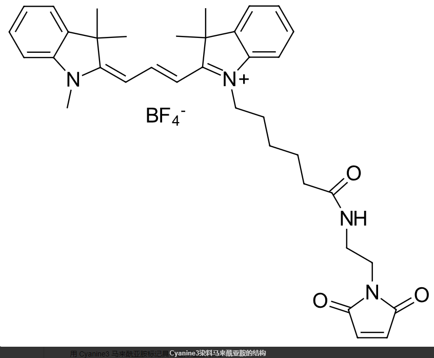 Cyanine3 maleimide 三甲川花菁染料标记马来酰亚胺