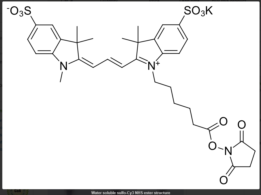 Sulfo-CY3-NHS